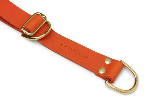 Collier Butter Leather Retriever pour chien - Mangue
