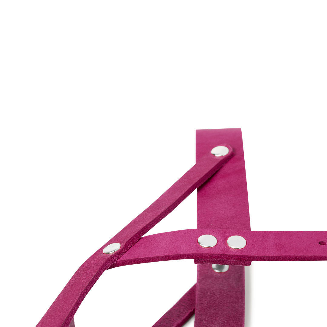 Harnais pour chien Butter Leather - Flamingo