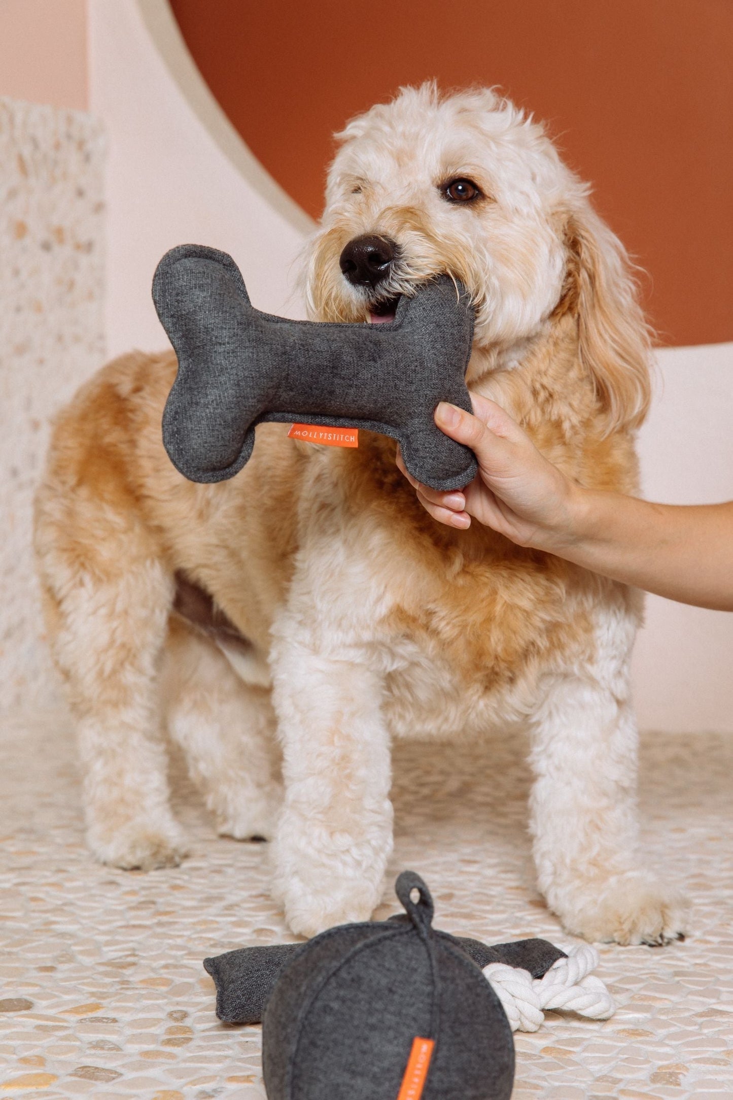 Alpine Bone - Anthrazit