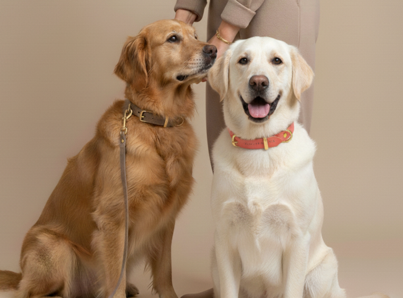 Butter Leather Dog Harness - Taupe