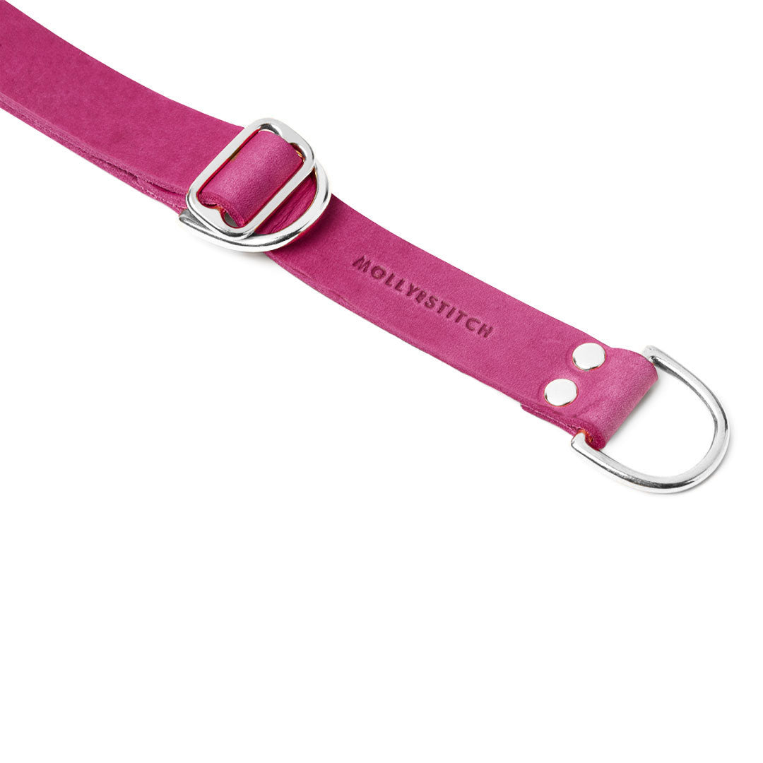 Collier pour chien Retriever Butter Leather – Flamingo