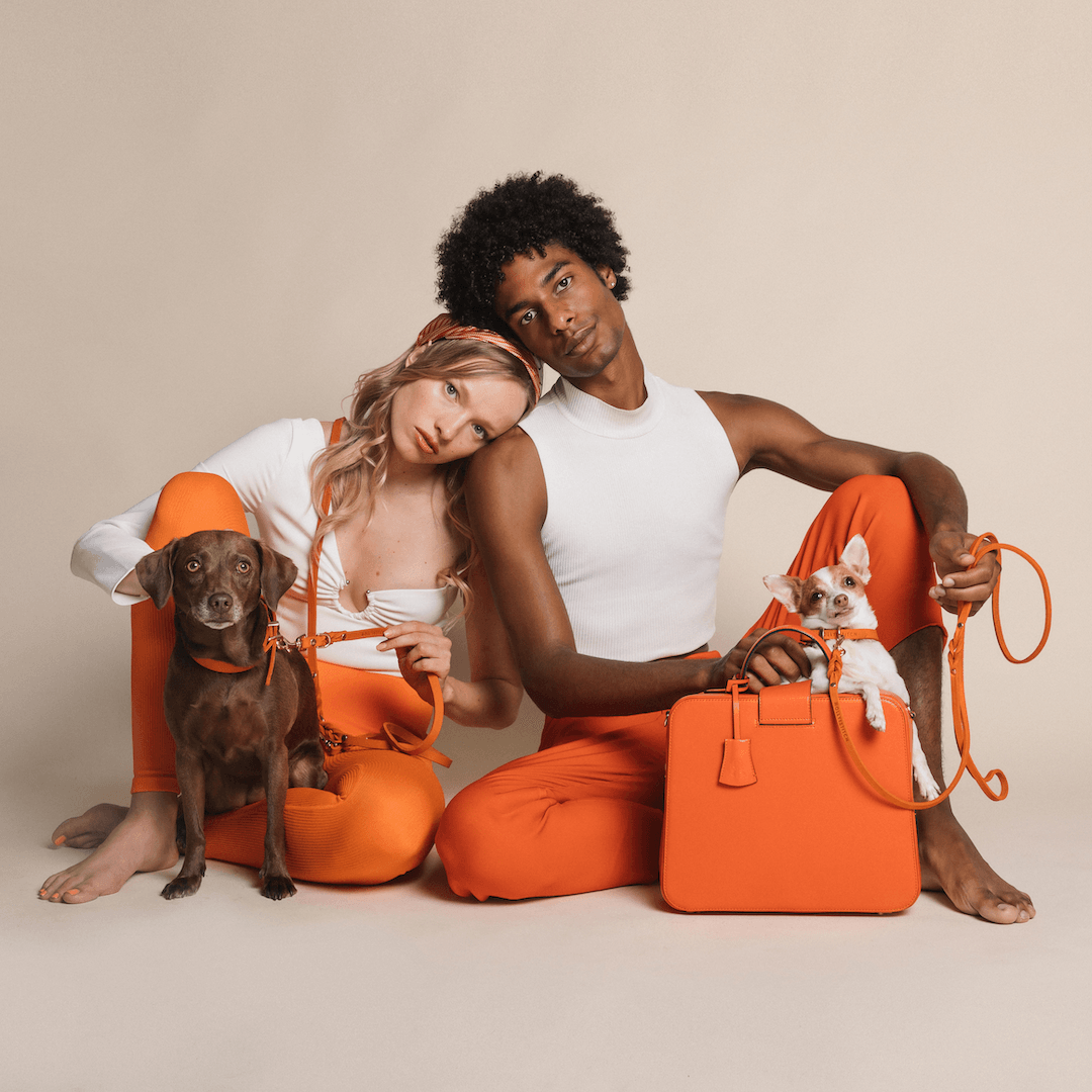 Butter Leather Dog Collar - Mango