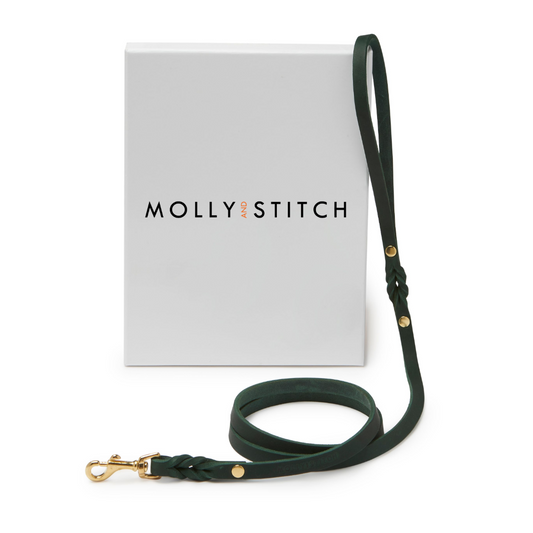Laisse pour chien Butter Leather City - Vert forêt