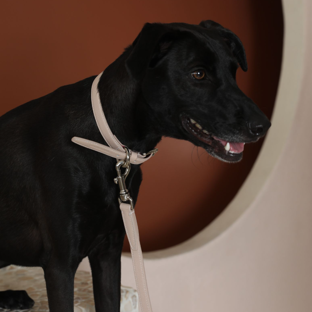 Tuscan City Leine - Rose