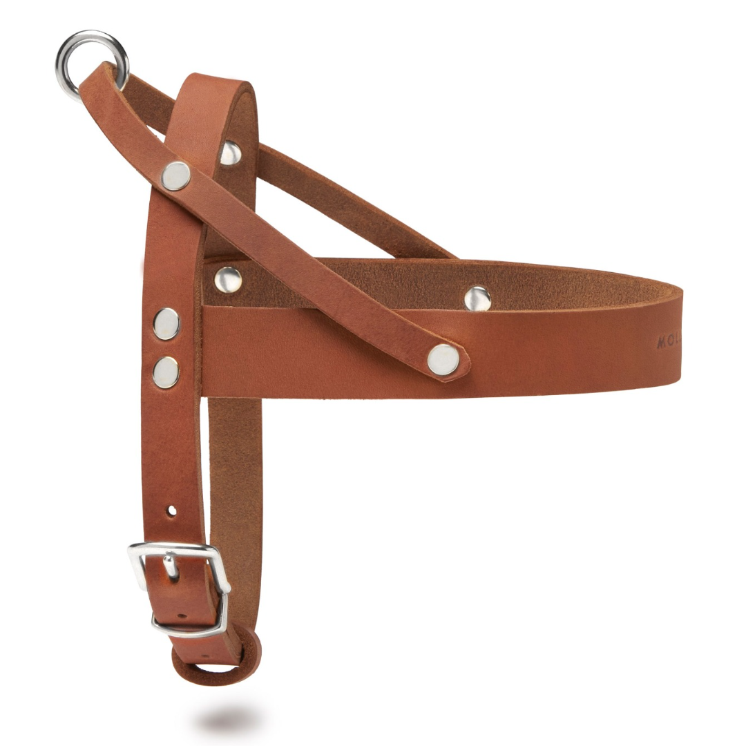 Butter Leather Dog Harness - Sahara Cognac