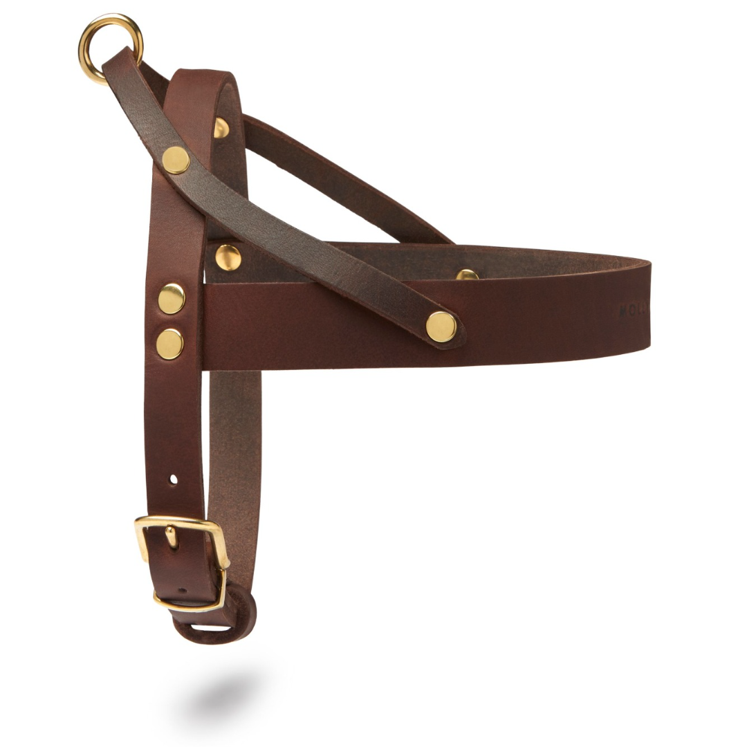 Butter Leather Dog Harness - Classic Brown