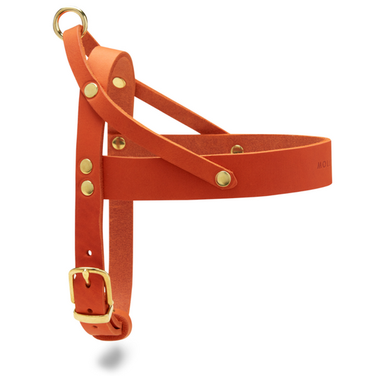 Butter Leather Dog Harness - Mango