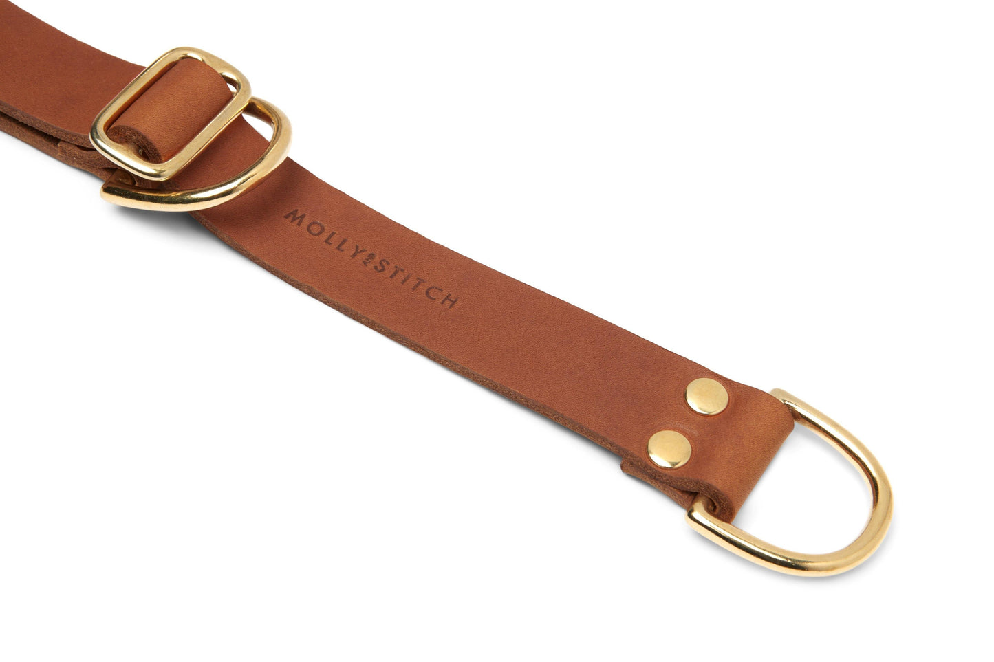 Butter Leather Retriever Dog Collar - Sahara Cognac