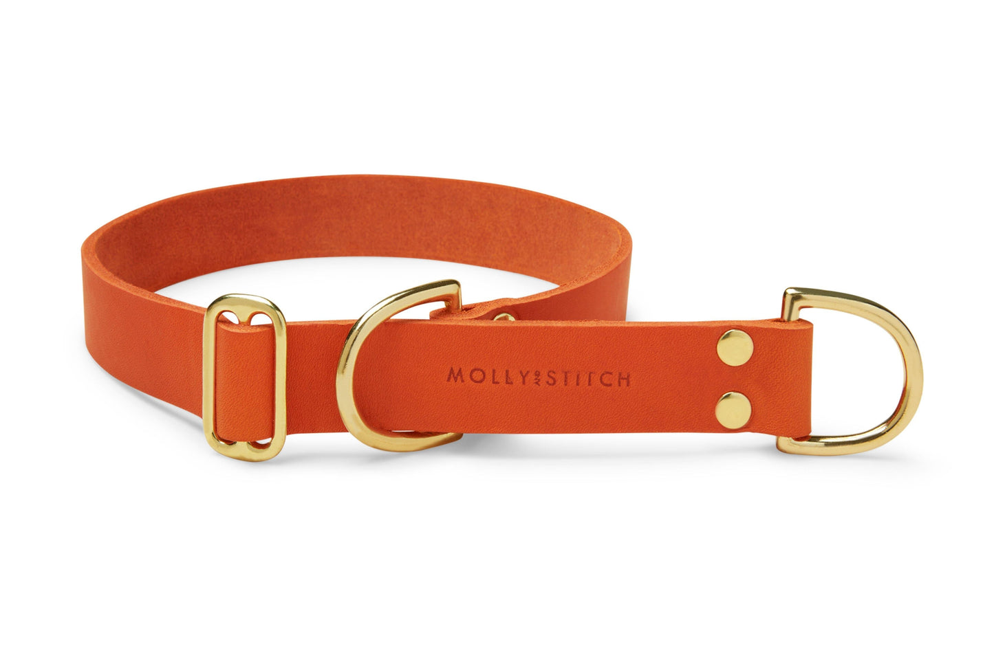 Butter Leather Retriever Dog Collar - Mango