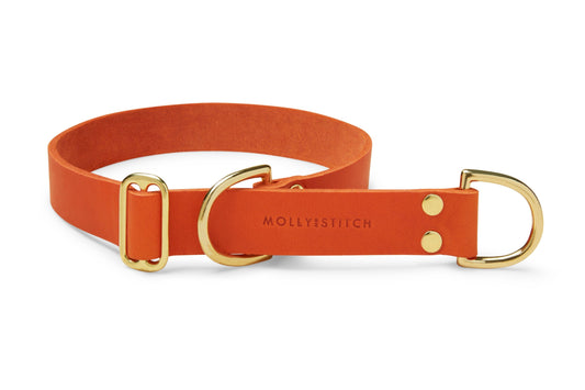 Butter Leather Retriever Dog Collar - Mango