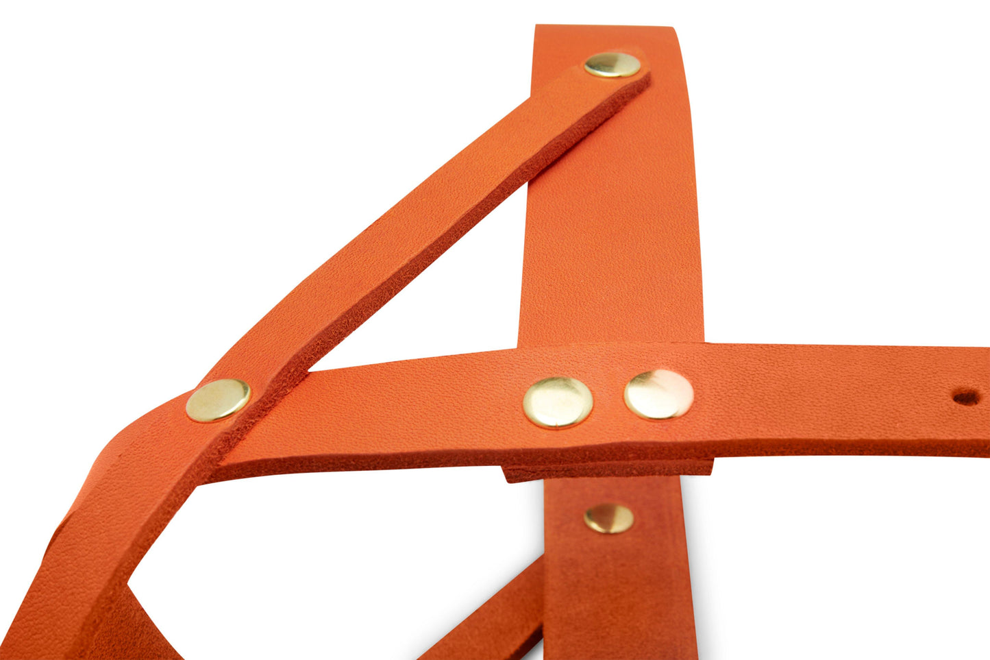 Butter Leather Dog Harness - Mango