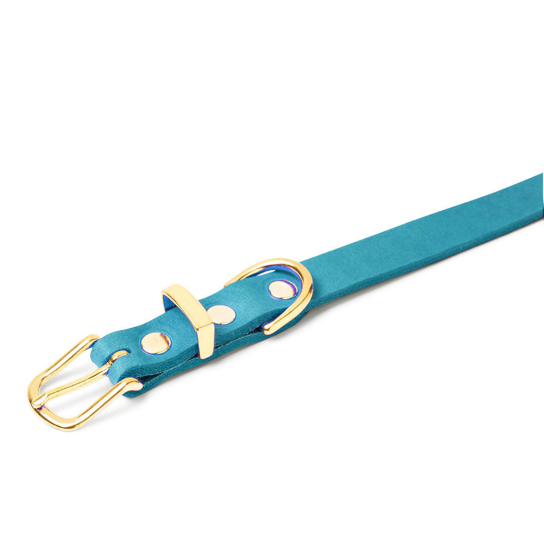 Butter Leather Dog Collar - Fiji Blue