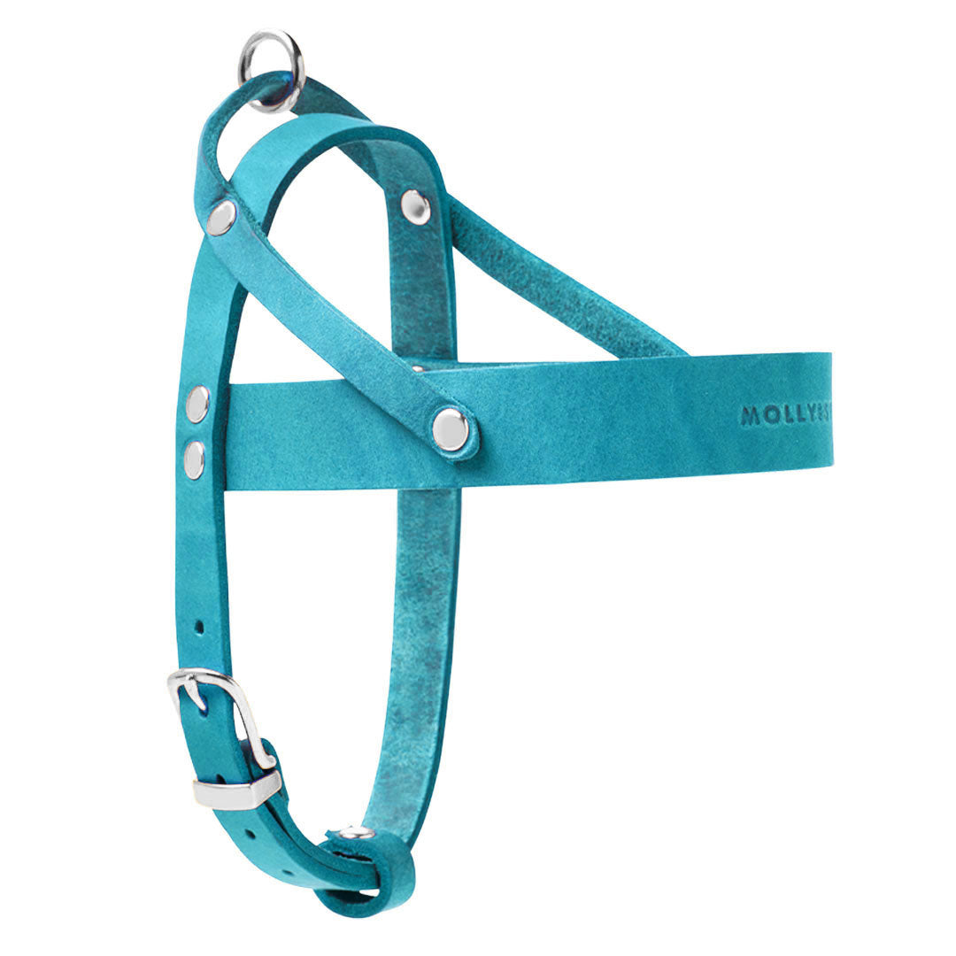 Butter Leather Dog Harness - Fiji Blue
