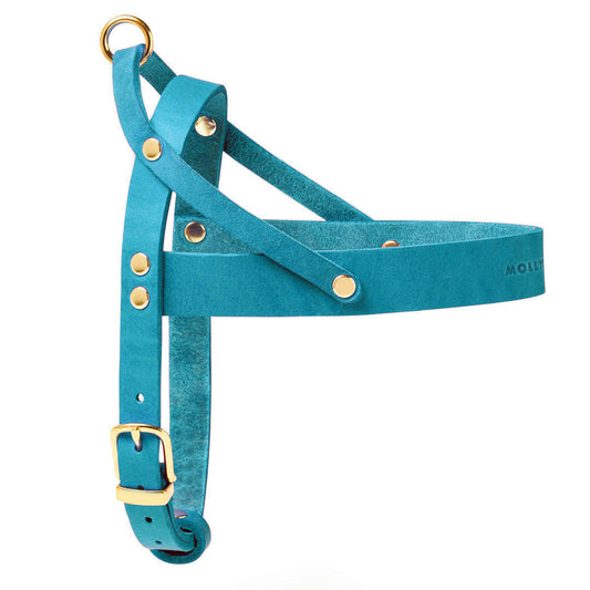 Butter Leather Dog Harness - Fiji Blue