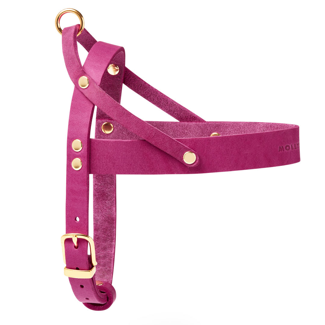 Butter Leather Dog Harness - Flamingo