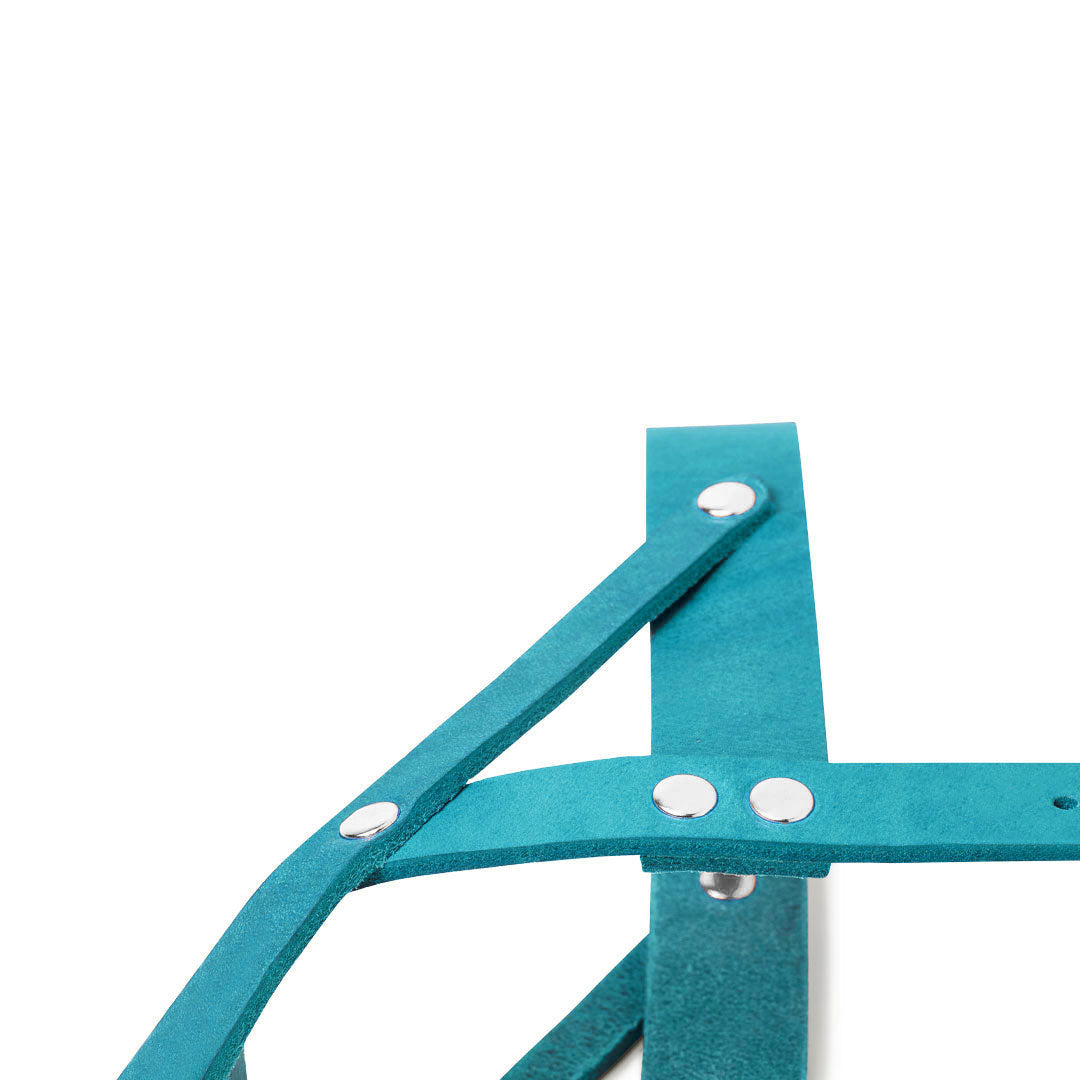 Butter Leather Dog Harness - Fiji Blue