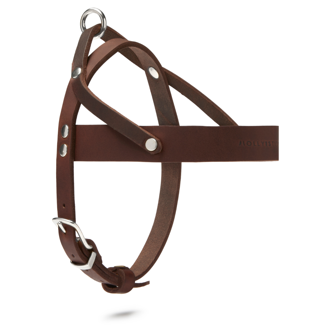Butter Leather Dog Harness - Classic Brown