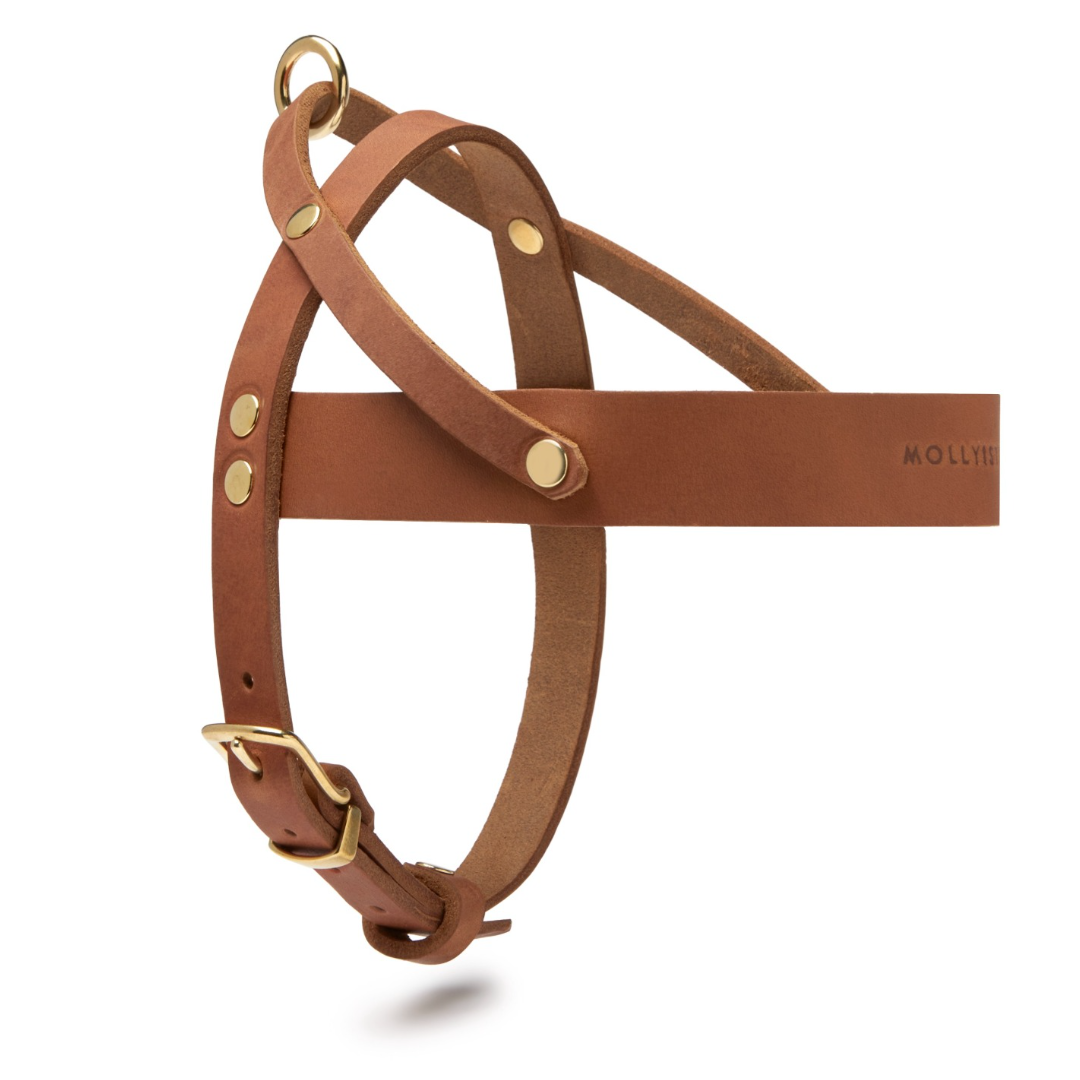 Butter Leather Dog Harness - Sahara Cognac