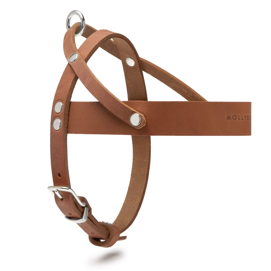 Butter Leather Dog Harness - Sahara Cognac