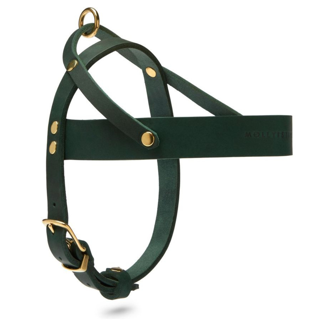 Butter Leather Dog Harness - Forest Green