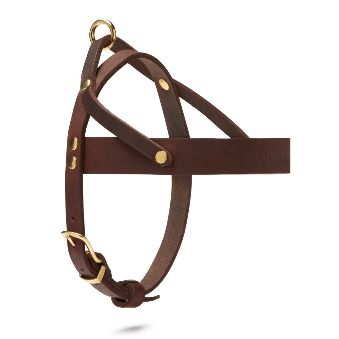 Butter Leather Dog Harness - Classic Brown