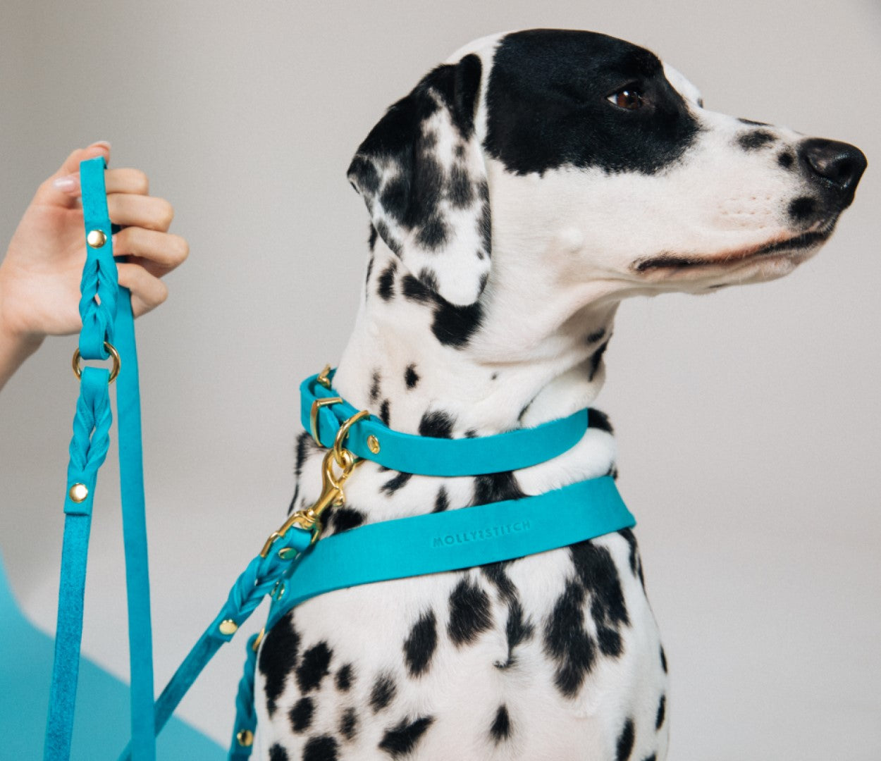 Butter Leather 3x Adjustable Dog Leash - Fiji Blue