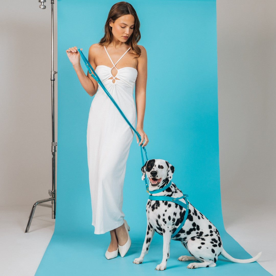 Butter Leather 3x Adjustable Dog Leash - Fiji Blue