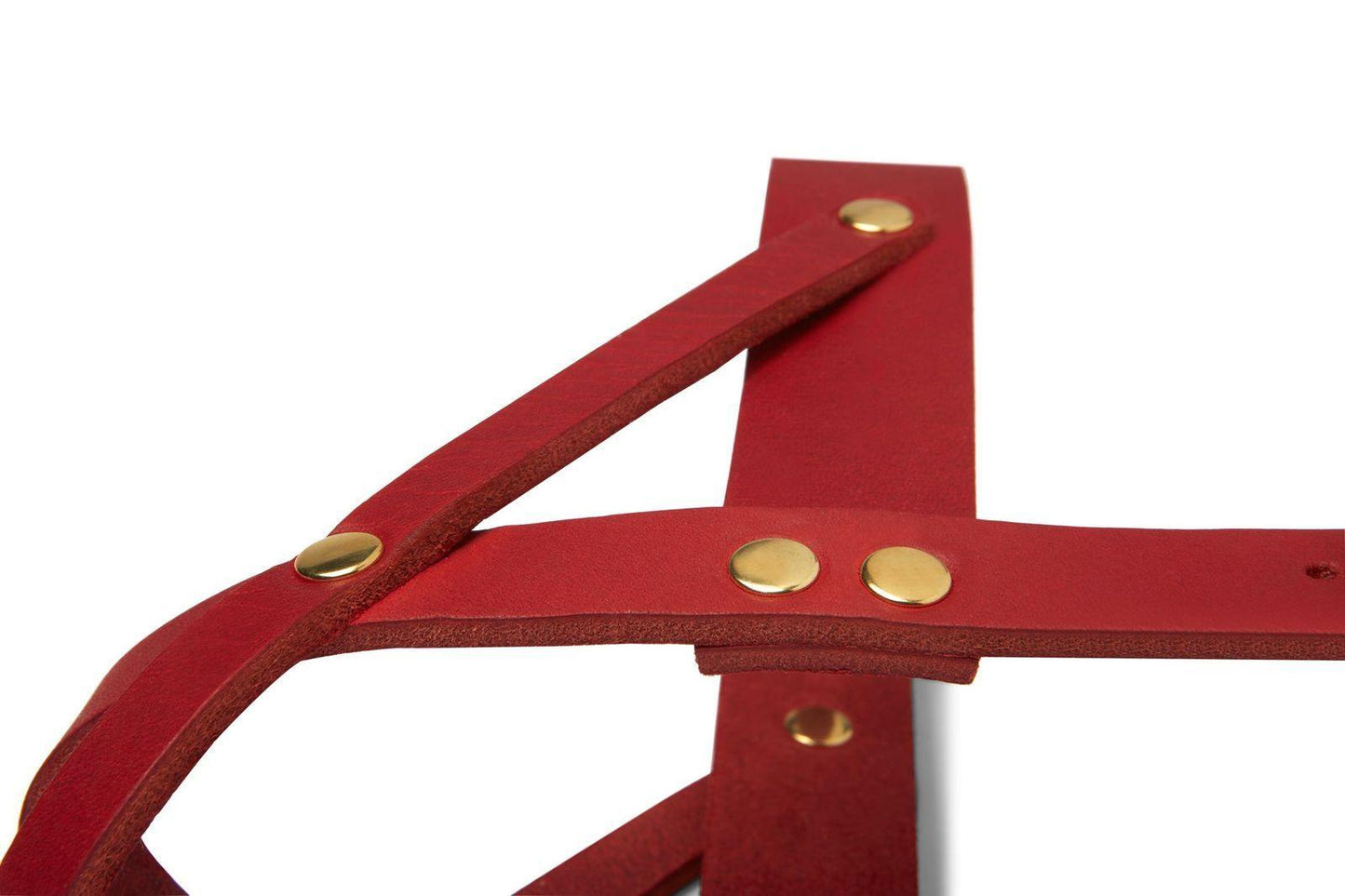 Butter Leather Dog Harness - Chili Red