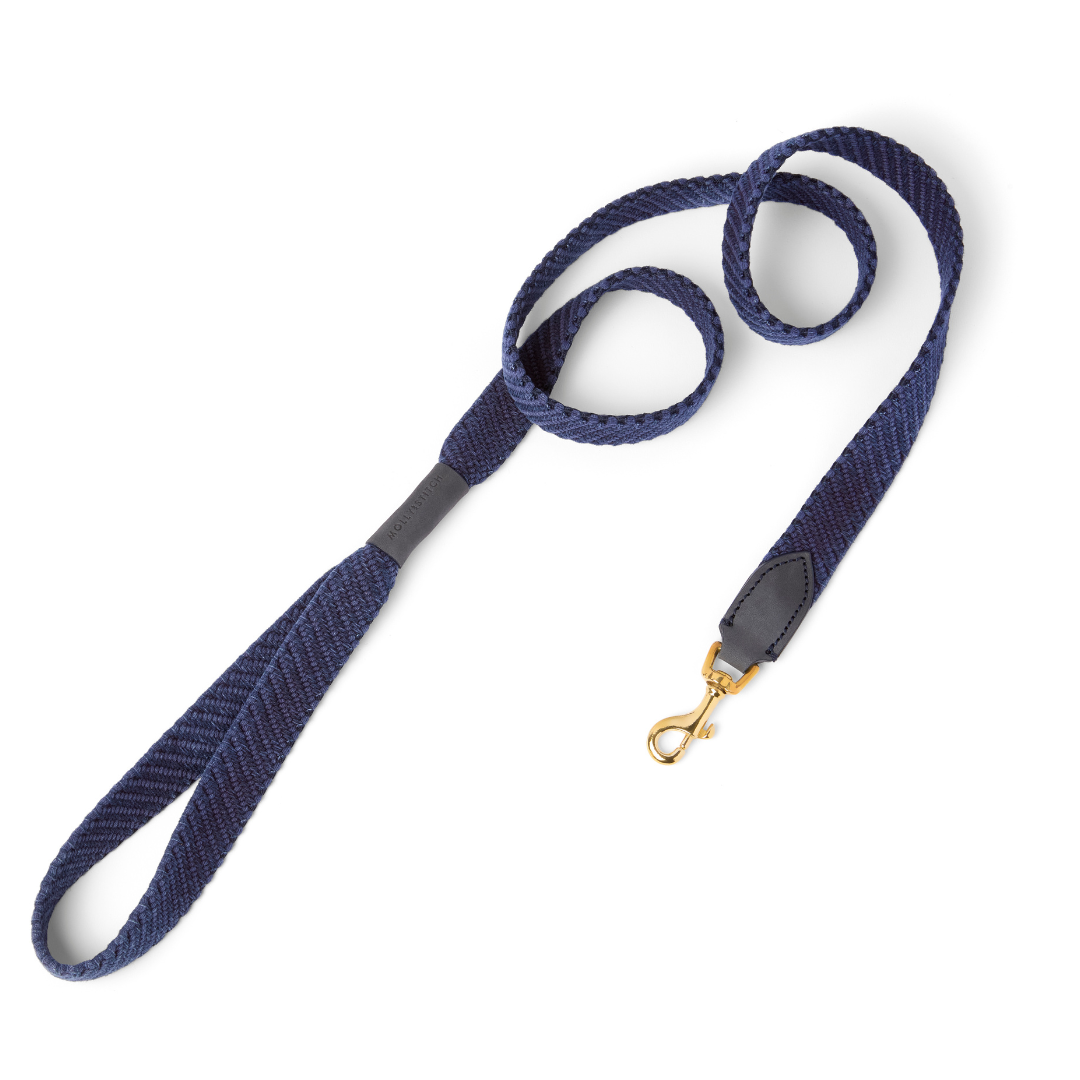 Laisse pour chien Serrana City - Denim