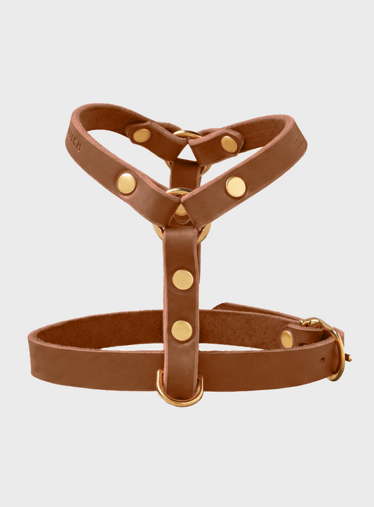 Butter Leather Y-Harness - Sahara