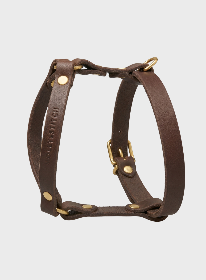 Butter Leather Y-Harness - Classic