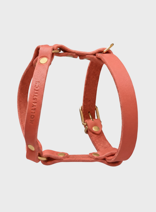 Butter Leather Y-Harness - Coral Pink