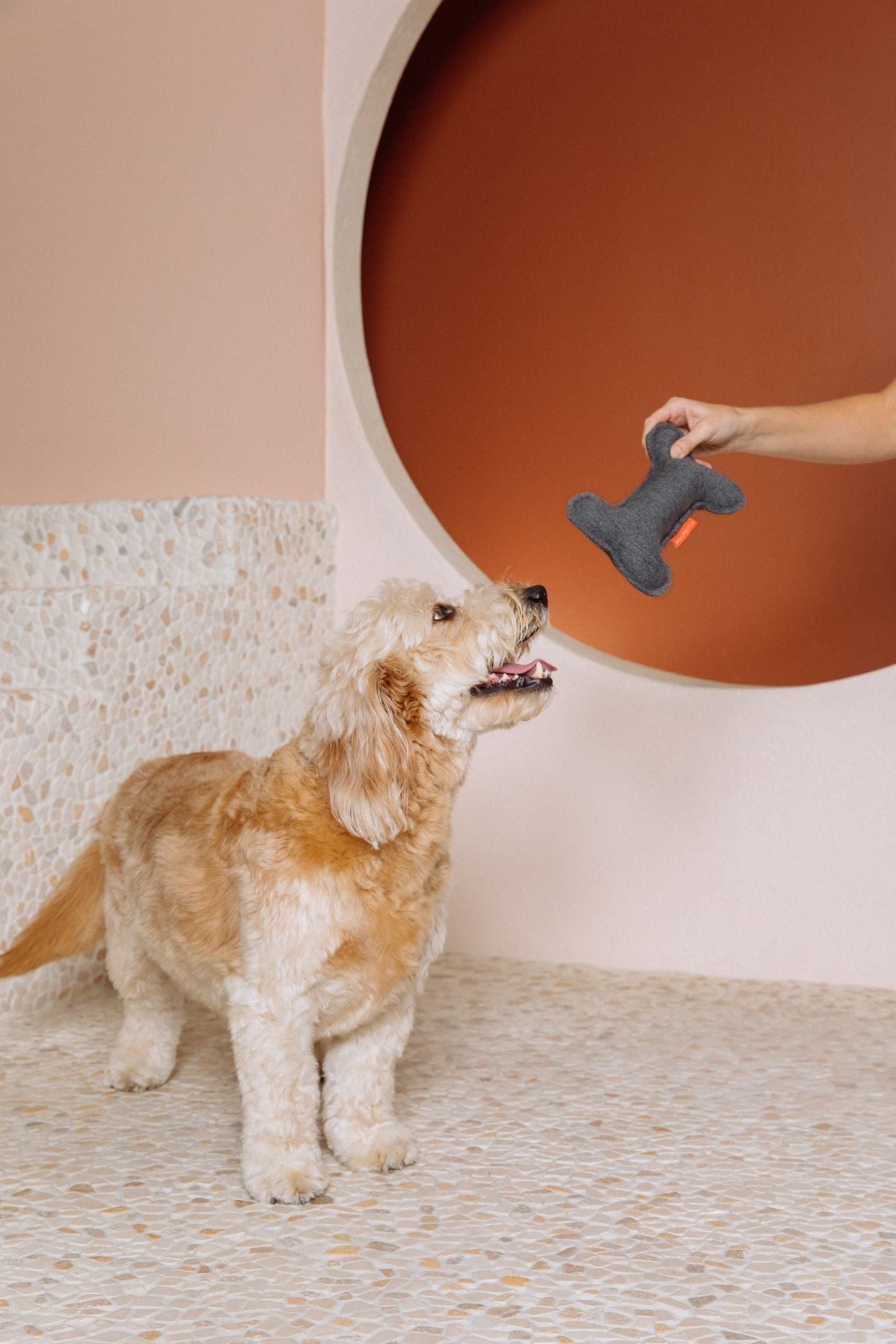 Alpine Bone - Anthrazit