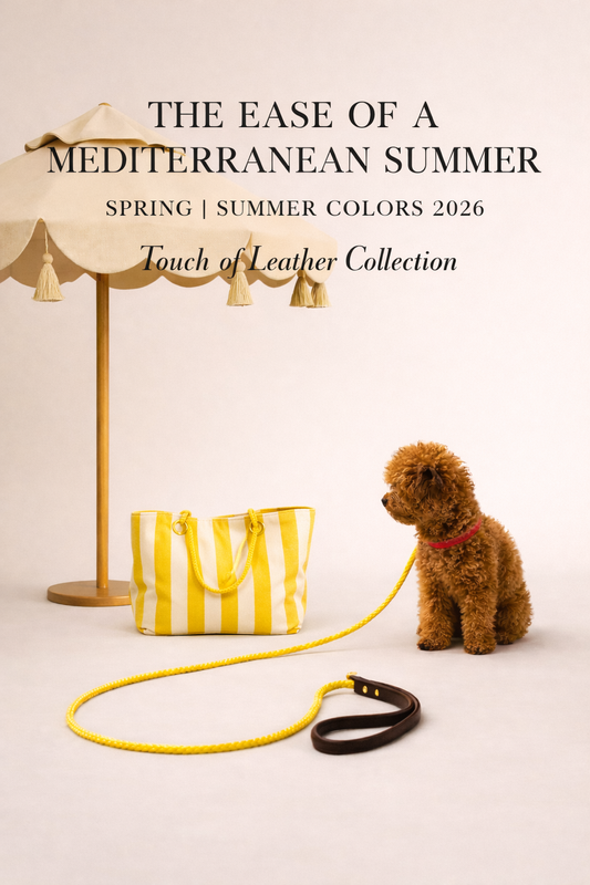 Touch of Leather Dog Collar - Mediterranean Sun (Limited Edition)