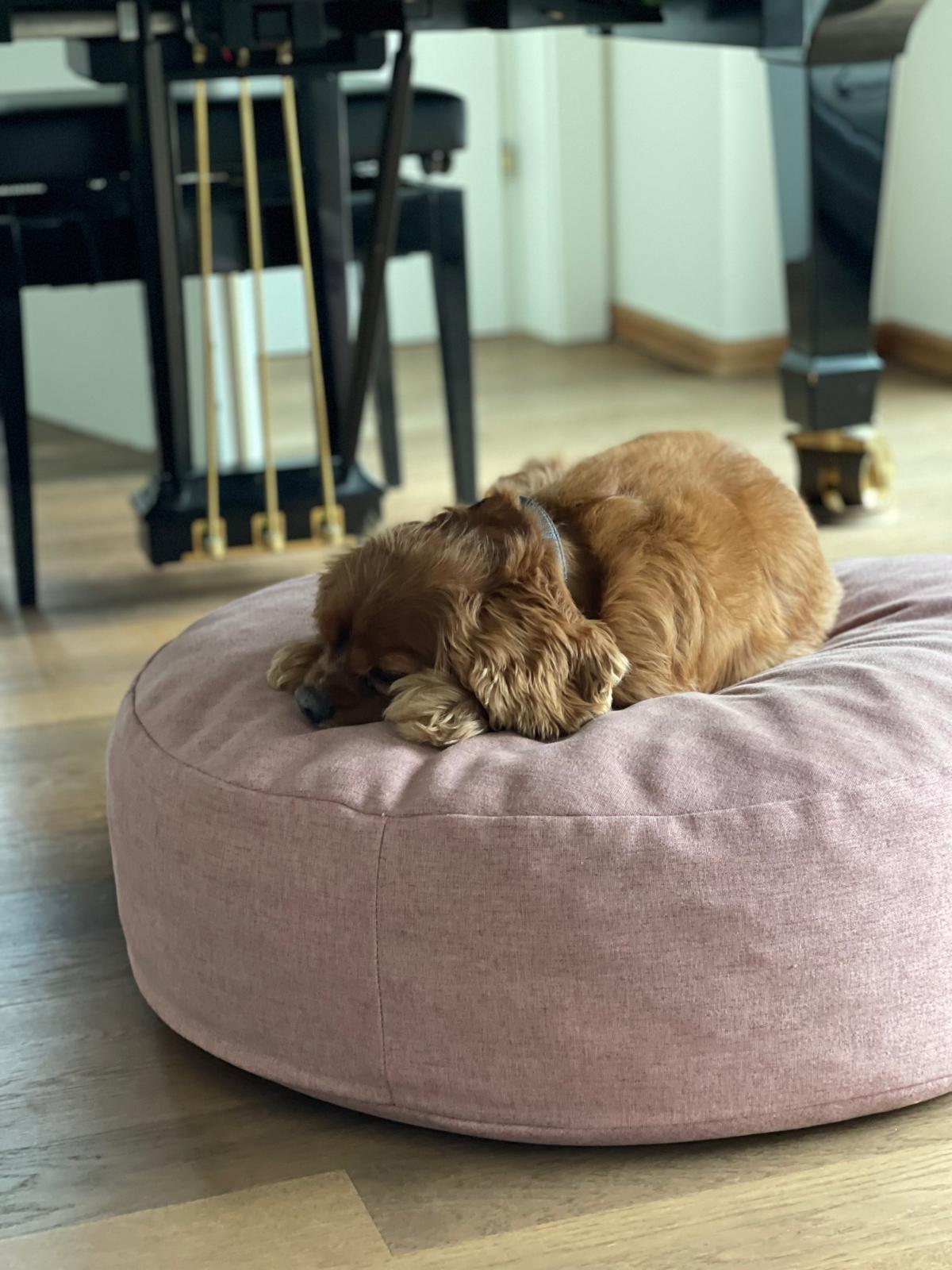 The Cloud - Dog Bed Shadow Grey