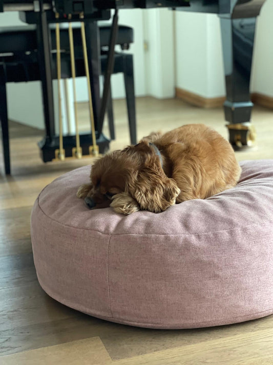 The Cloud - Dog Bed Pine Green