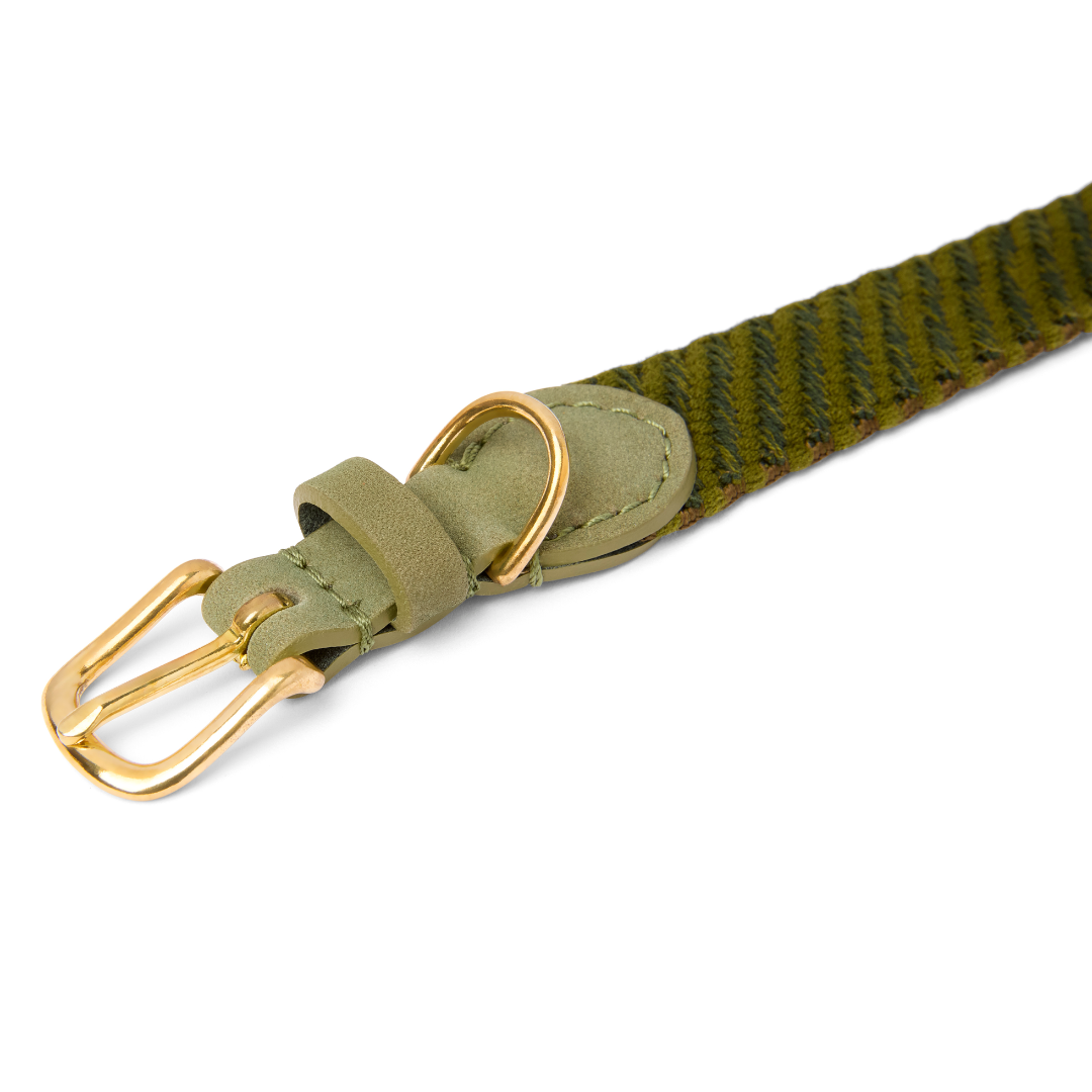 Collier pour chien Serrana - Mousse