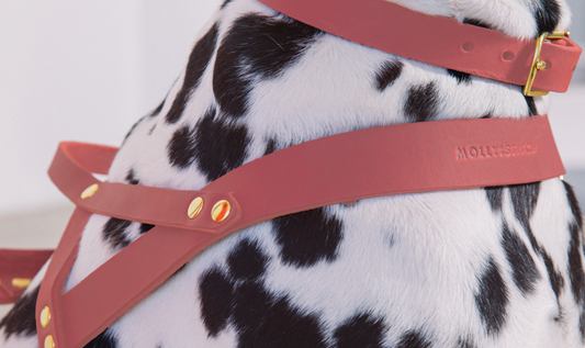 Butter Leather Dog Harness - Coral Pink
