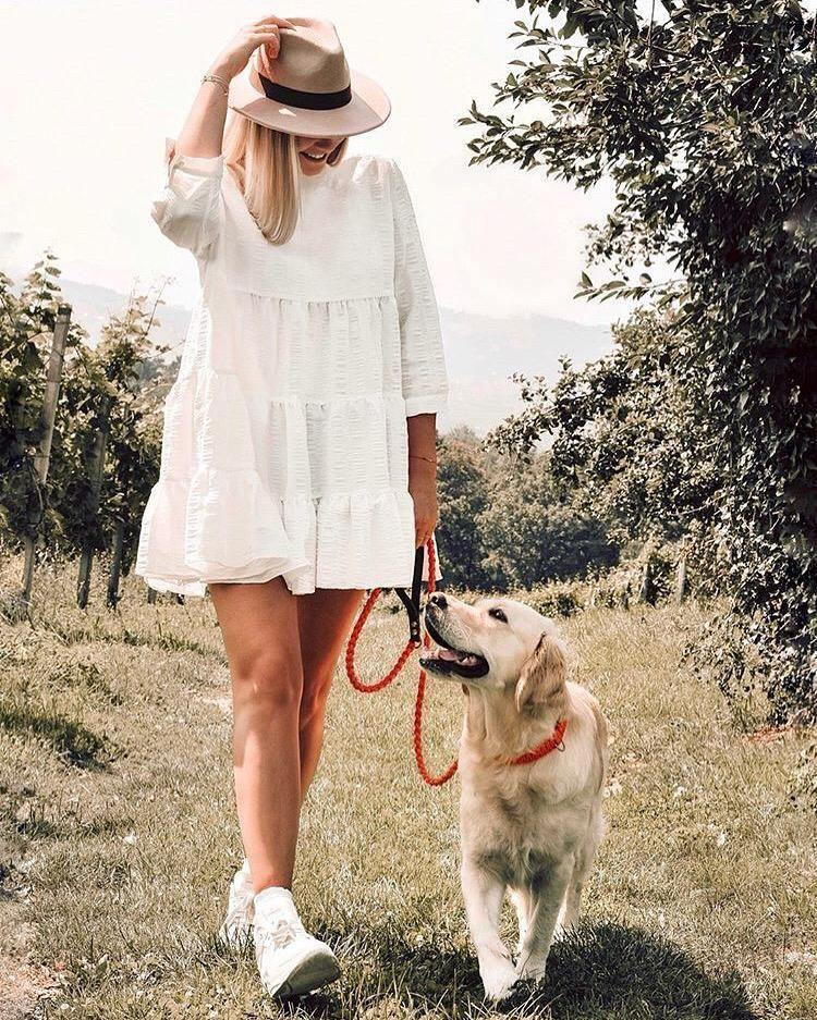 Touch of Leather Dog Collar - Pumpkin