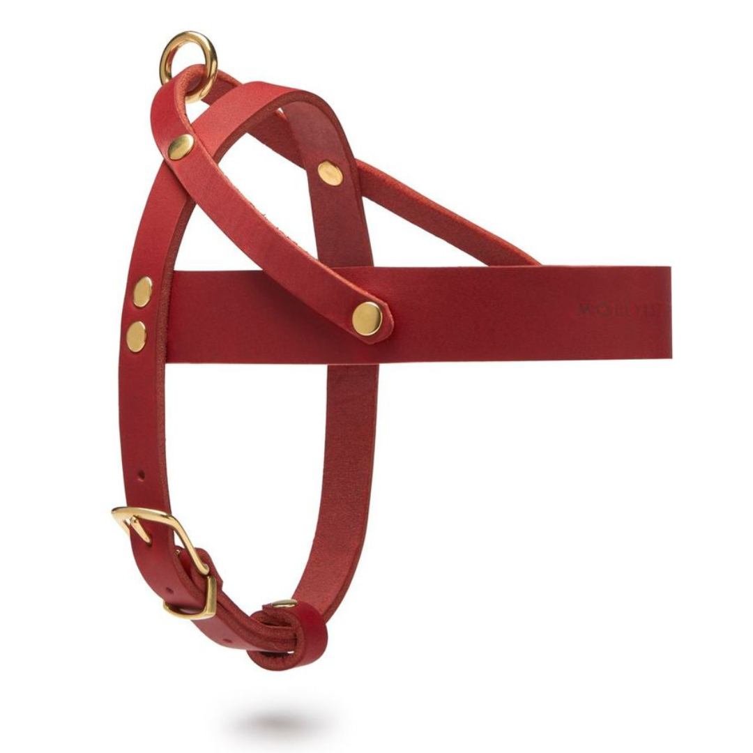 Butter Leather Dog Harness - Chili Red