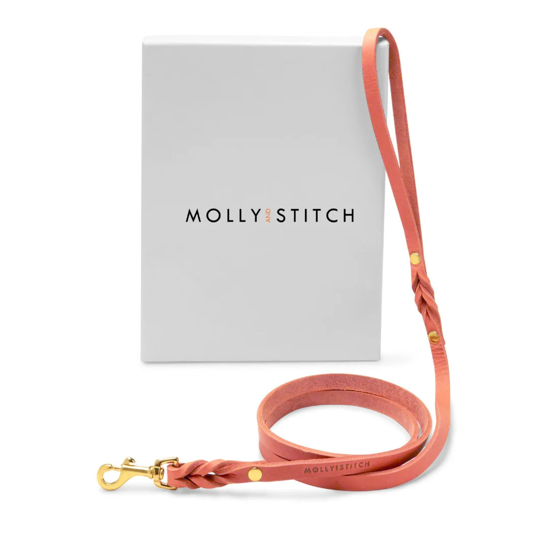 Butter Leather City Dog Leash - Coral Pink
