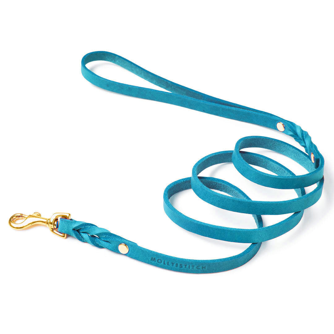 Butter Leather City Dog Leash - Fiji Blue