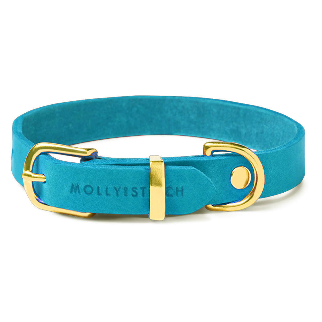 Butter Leather Dog Collar - Fiji Blue