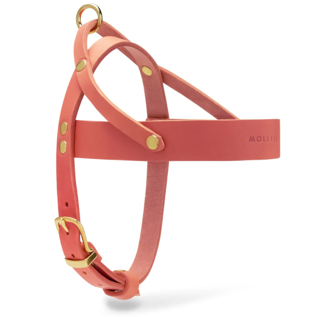 Butter Leather Dog Harness - Coral Pink