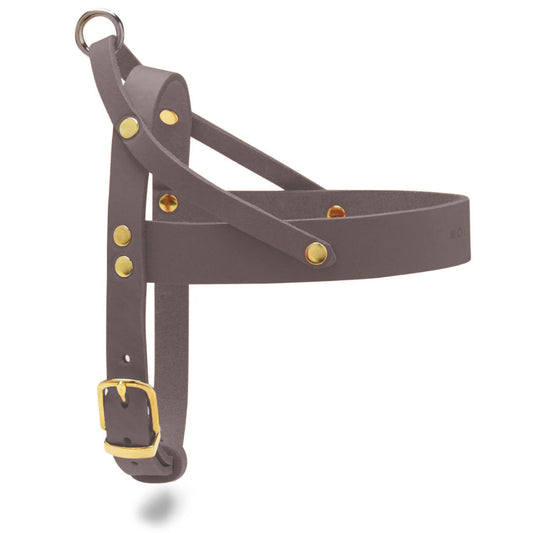 Butter Leather Dog Harness - Taupe