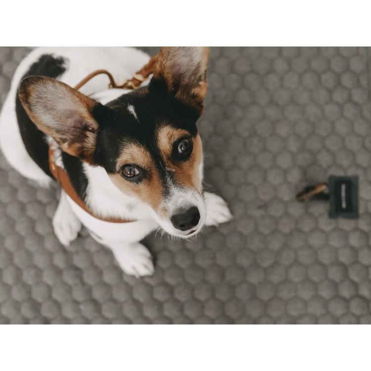 Honeycomb Dog Travel Mat - Grey