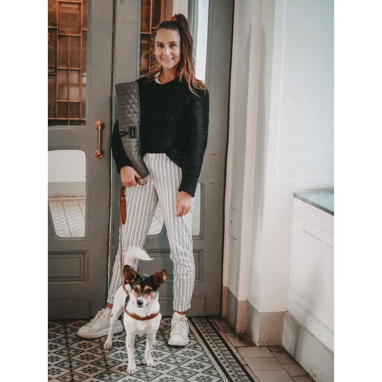 Honeycomb Dog Travel Mat - Grey