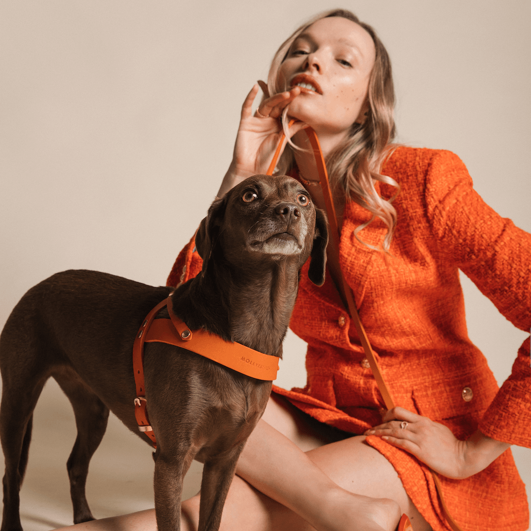 Butter Leather City Dog Leash - Mango