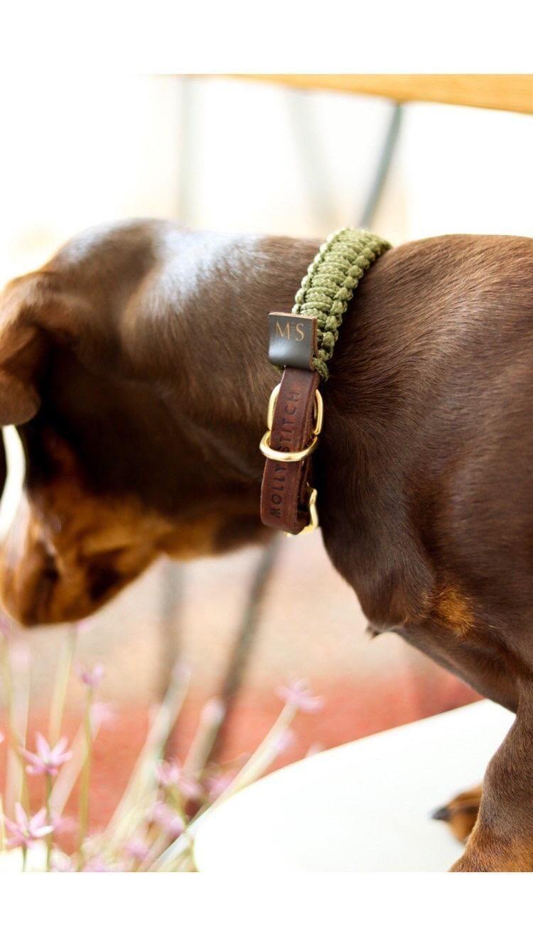 Touch of Leather Dog Collar - Military