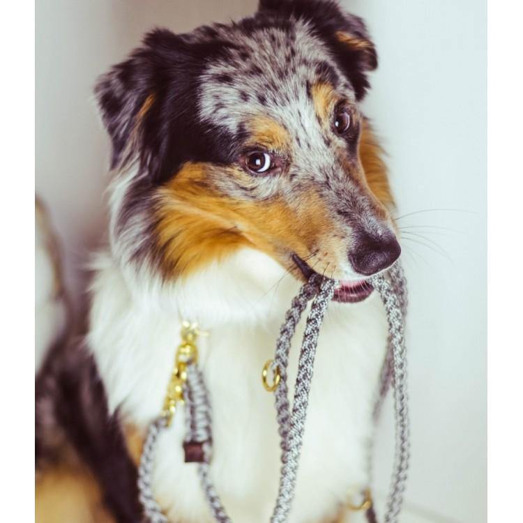 Maritime Dog Leash - Grey